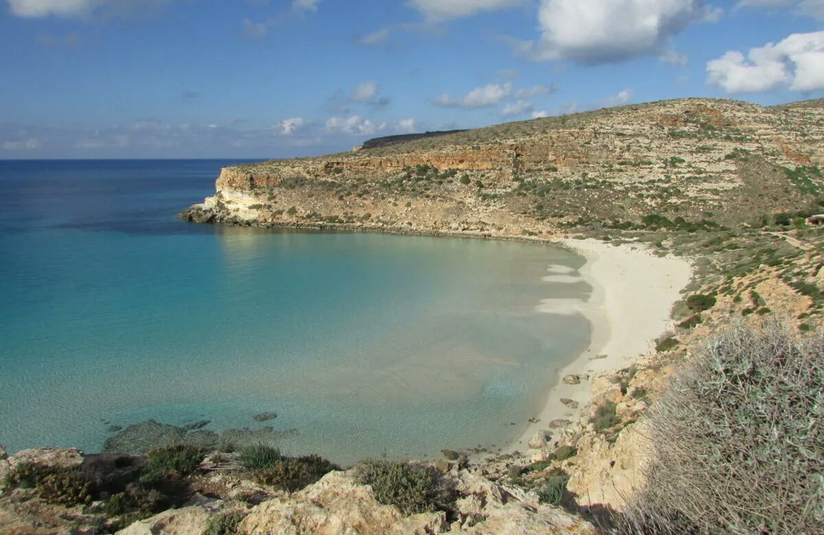 FocuSicilia's tweet photo. Per il National Geographic tre spiaggie siciliane sono tra le 12 più belle d'Italia: Capo Peloro, sullo Stretto di Messina, Cala Rossa a Favignana e la spiaggia dei Conigli a Lampedusa
https://t.co/SP9cP6r3yY https://t.co/u0rJfVgTaz