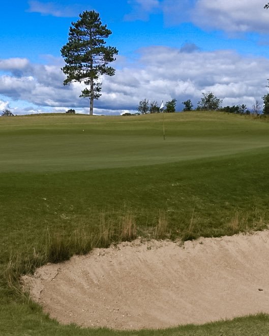 newclubgolf's tweet photo. Summer Medal - @forestdunesgolf  The Loop - Black - Day Five -  Round Seven☀️🏅♾ #newclubgolfsociety 
#summermedal #playandpollinate https://t.co/TNFrOuGZEG