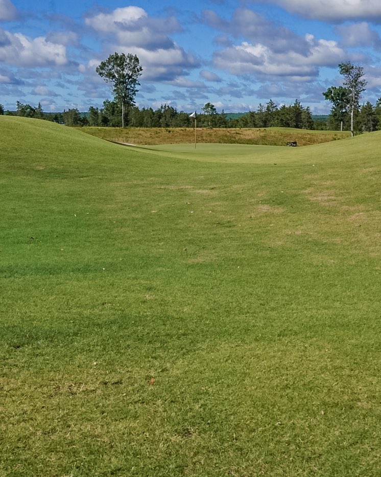 newclubgolf's tweet photo. Summer Medal - @forestdunesgolf  The Loop - Black - Day Five -  Round Seven☀️🏅♾ #newclubgolfsociety 
#summermedal #playandpollinate https://t.co/TNFrOuGZEG