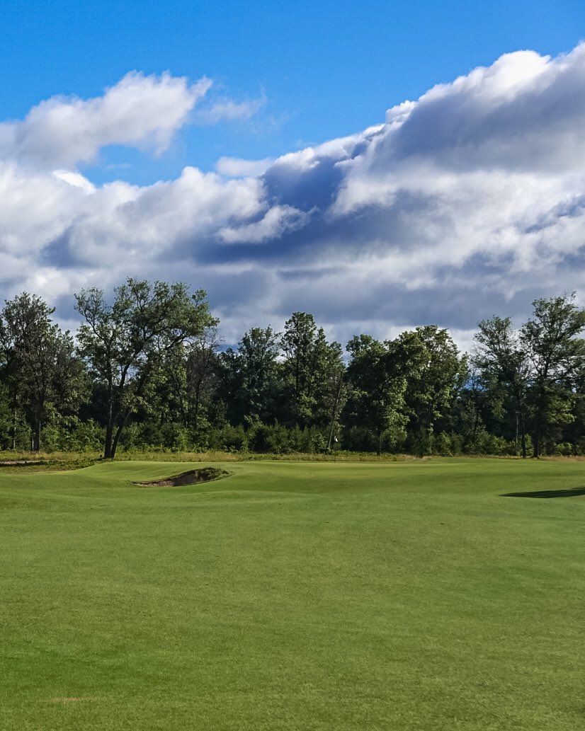 newclubgolf's tweet photo. Summer Medal - @forestdunesgolf  The Loop - Black - Day Five -  Round Seven☀️🏅♾ #newclubgolfsociety 
#summermedal #playandpollinate https://t.co/TNFrOuGZEG