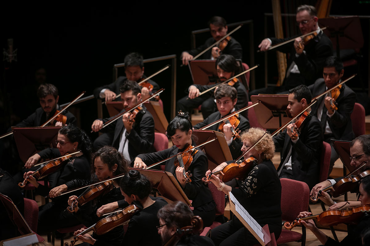 🎼 Este viernes 26/8 a las 20 h en @elCCKirchner se presenta la <a href="/OSNArgentina/">Sinfonica Nacional</a>, bajo la dirección de María Laura Muñoz y con la participación del Trío Luminar. 

🎻 Interpretarán obras de Manolo Juárez, Alberto Williams y Pablo Ortiz. 

Reservá tu entrada👉 bit.ly/3Cqe6ED