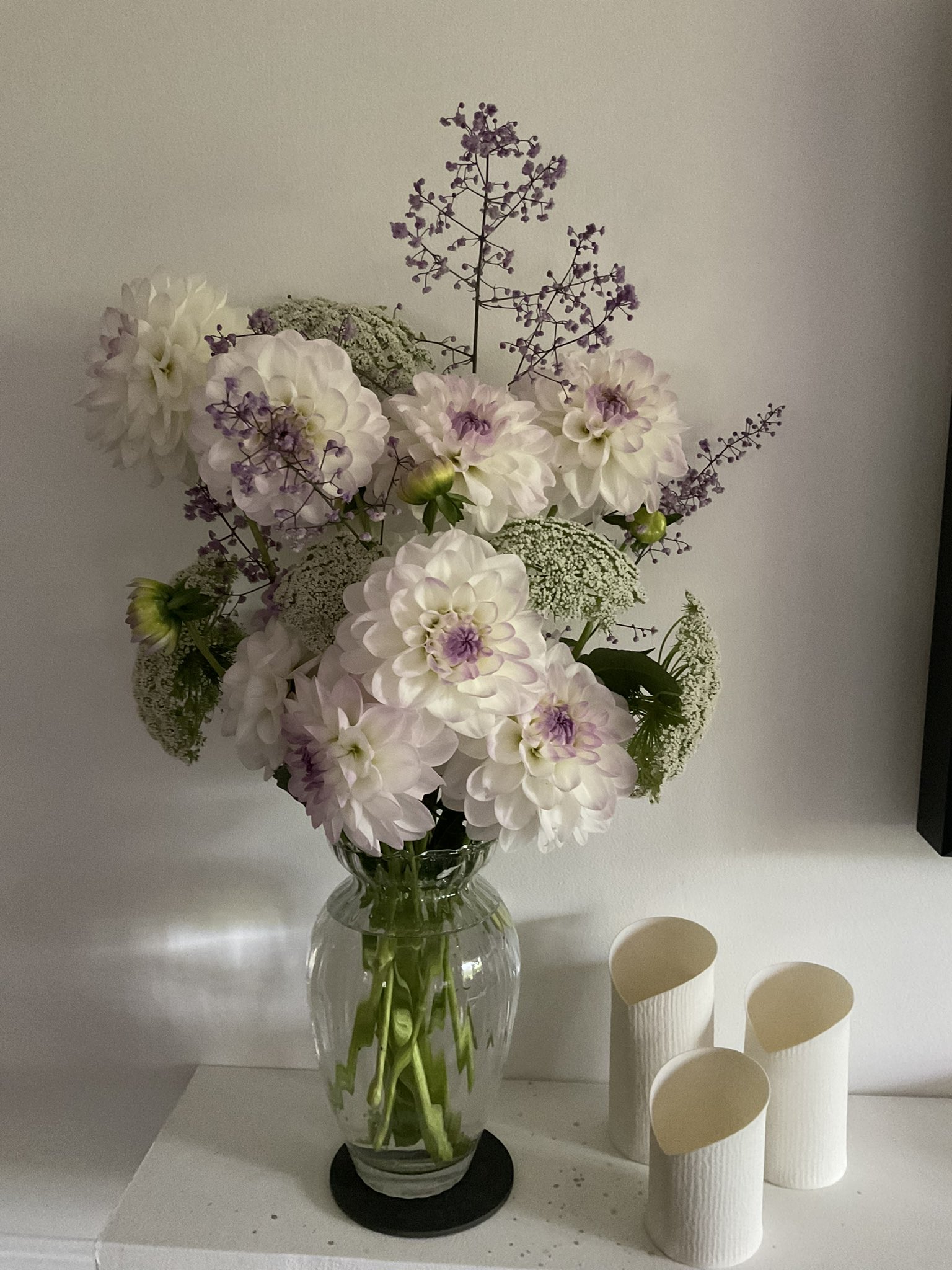 Ella Beard on Twitter "Evening, Dahlia Eveline, Ammi and Thalictrum