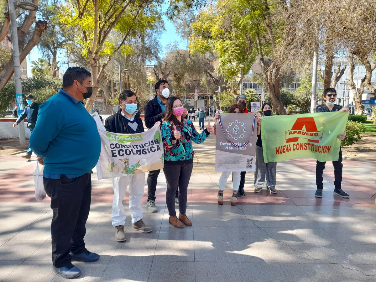 G_Simonetti's tweet photo. 🌿💜Hoy día nos juntamos los movimientos ambientales de Arica a Magallanes a decir #Apruebo esta #ConstituciónEcológica. 
El bienestar de todas y todos depende de la Naturaleza, no podemos seguir relacionándonos con ella como hasta hoy.
#ElMomentoEsAhora https://t.co/vAznLUdIdD