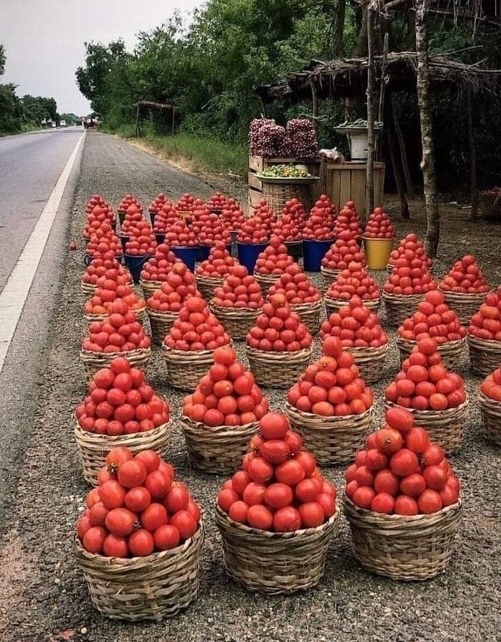 KazunguMireille's tweet photo. We are proud to say that Agriculture is the brightest hope, the right path to take, and a promising career. https://t.co/r63oBBS4XS