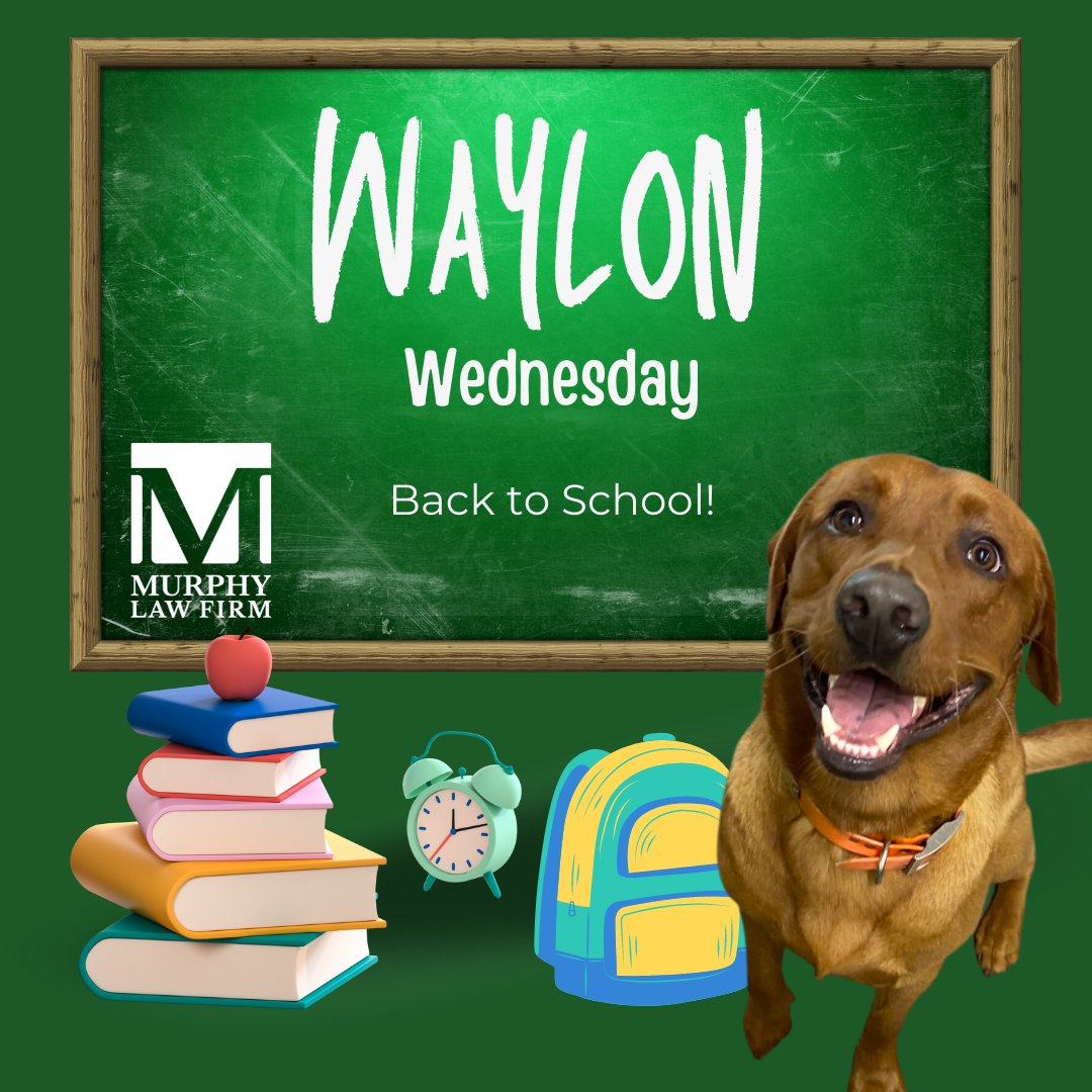 MurphyLawFirmBR's tweet photo. Happy #WaylonWednesday! The Back-To-School season is in full swing, and Waylon wishes everyone good luck this new school year! Study hard! πππ
#WaylonMurphy #Officedog #MurphyLawFirm #LawFirm #InjuryAttorney #TrialAttorney https://t.co/aSrEiUpjHW
