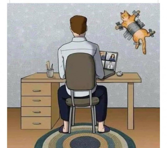 Cuando eres #freelancer y tienes que atender a tus #clientes por zoom...😆😅🤣