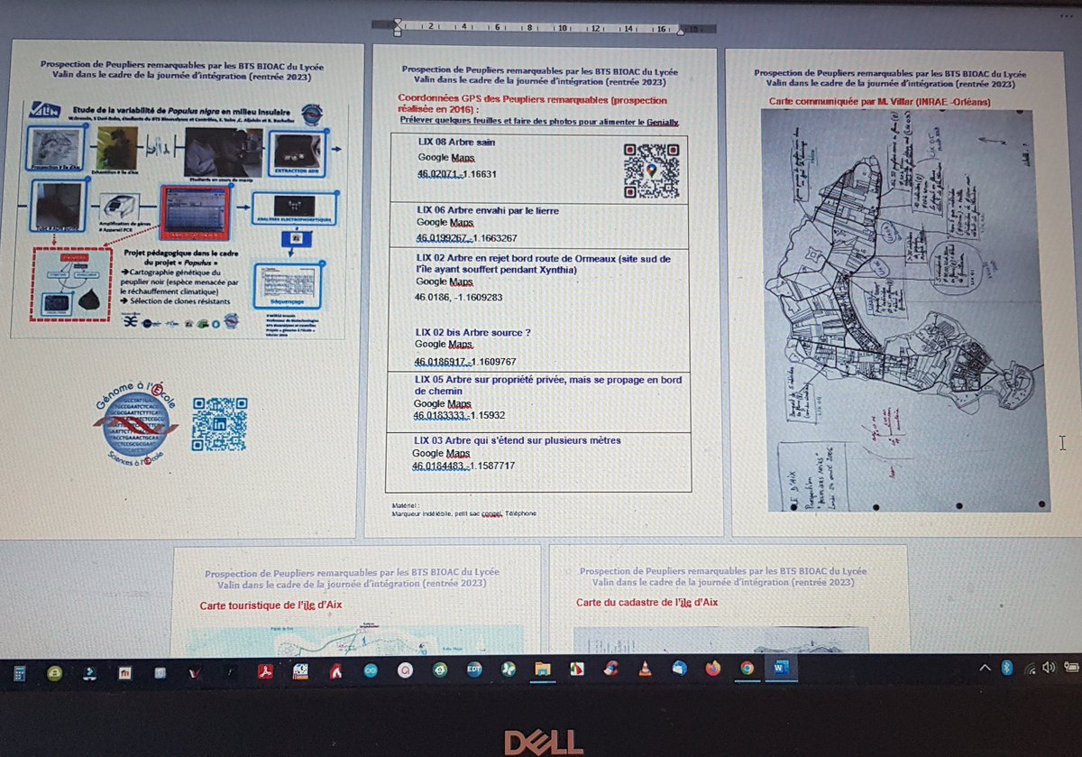 WGrossin's tweet photo. Préparation de la journée d'intégration 2023 des #btsbioac du @LyceeValinLR sur l'île d'aix.
Cc @Sciences_Ecole https://t.co/nTZ7uw3QyF