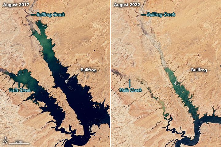 NASAEarth's tweet photo. Lake Powell, the 2nd-largest reservoir in the U.S., now stands at 26% of capacity, its lowest point since being filled in the mid-60s. On Aug. 22, the surface elevation was 3,533.3 feet, more than 166 feet below full pool. https://t.co/PWp8vktHPY https://t.co/TVGoOj2S67