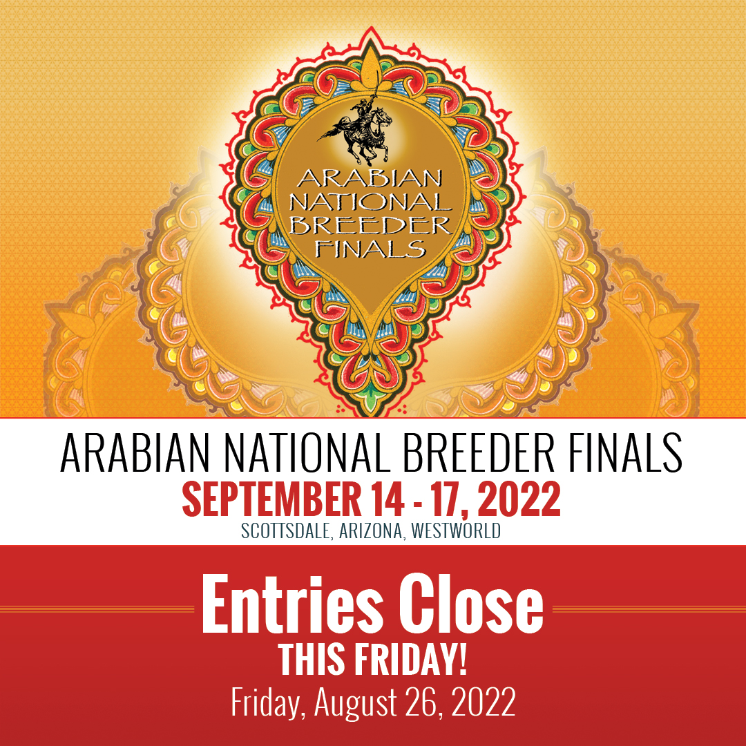 ANBF - Entries close tomorrow, Friday, August 26, 2022 end of Day! 

For the entry form and current schedule please visit: scottsdaleshow.com/schedules/anbf…