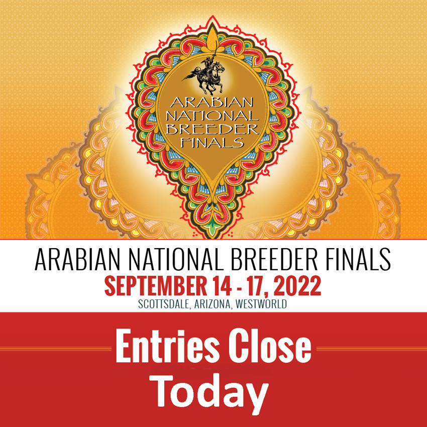 ANBF - Entries close today, August 26, 2022 end of Day!

For the entry form and current schedule please visit: scottsdaleshow.com/schedules/anbf…