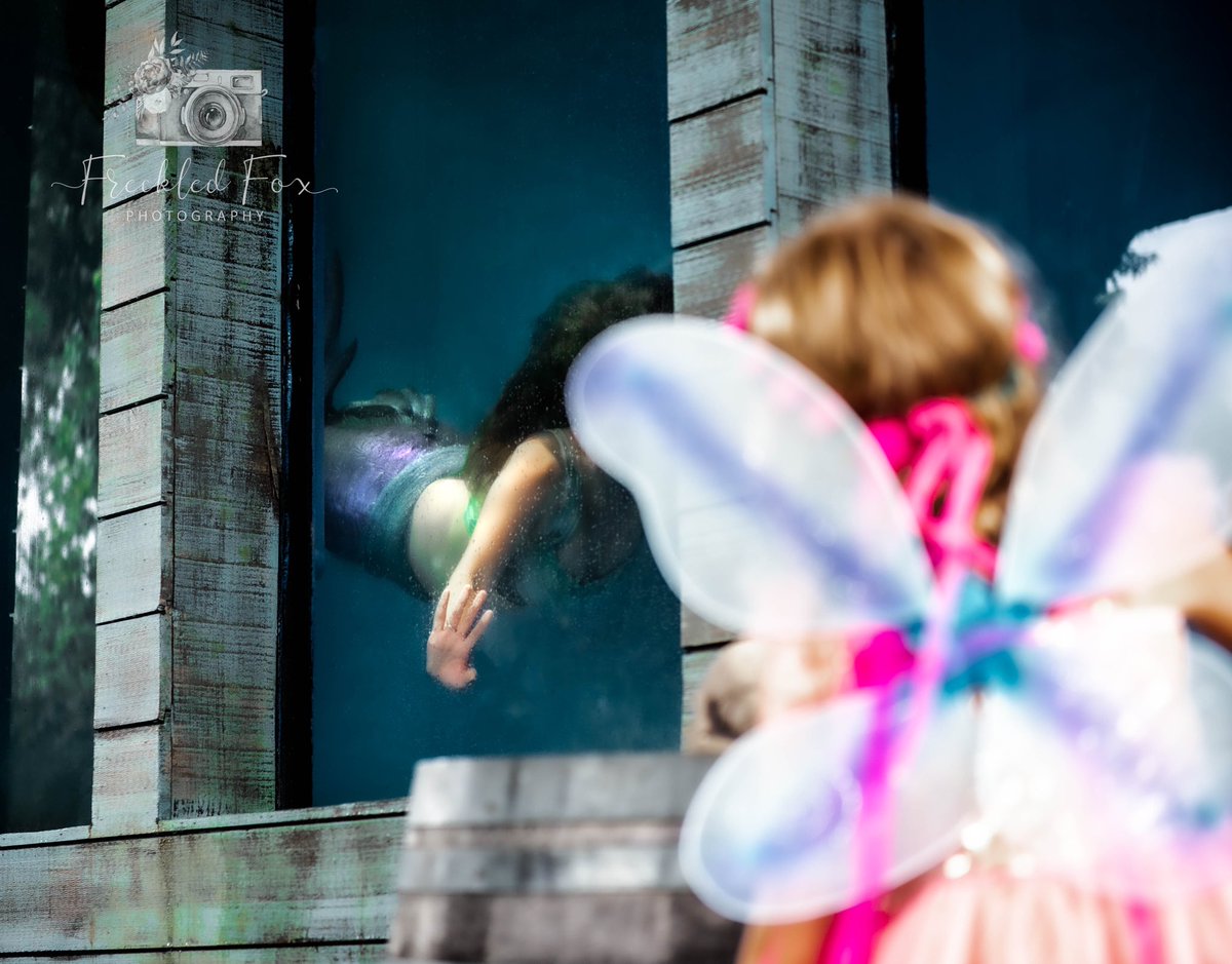 freckledfoxkt's tweet photo. Are you seeing what I’m seeing? 🧜🏻♀️
#mermaid #mermaidphotography #fantasy #fantasyphotography #freckledfoxphotography #parenfaire #circussirenpod #circussirens #renfaire #maryland #marylandphotography #portraitphotography #familyphotography https://t.co/0y2yGroS8d