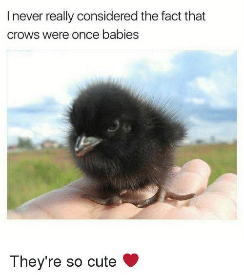 WholesomeMeme's tweet photo. https://t.co/fHn4MQKNyE