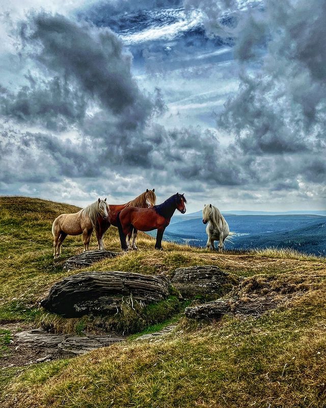 Posing for a photo

Use #explorebreconbeacons to be featured

📷© <a href="/janer1234/">abby springer</a>