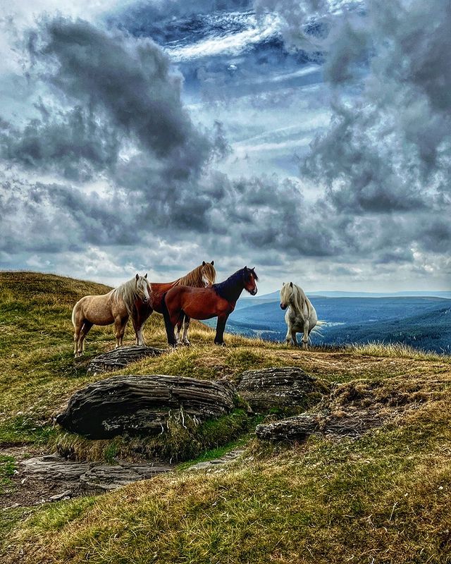 Posing for a photo Use #explorebreconbeacons to be featured 📷© @janer1234