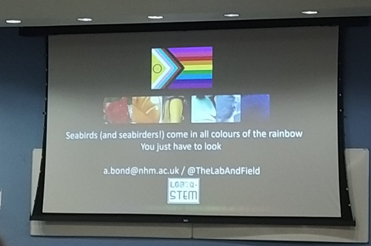 IslandAmy21's tweet image. Equally inspired and upset by plenary on #plasticpollution and #queerscience today by @TheLabAndField  at #CorkSeabirds
Not going to forget that one anytime soon! 
Ending with hope helps to feel less overwhelmed by a huge topic that needs tackling!