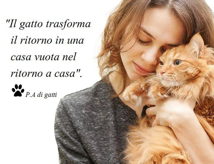 Sara_cats tweet media