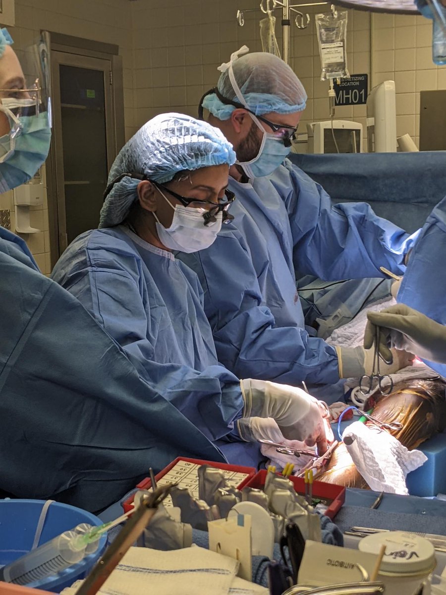 jsilpemd tweet media