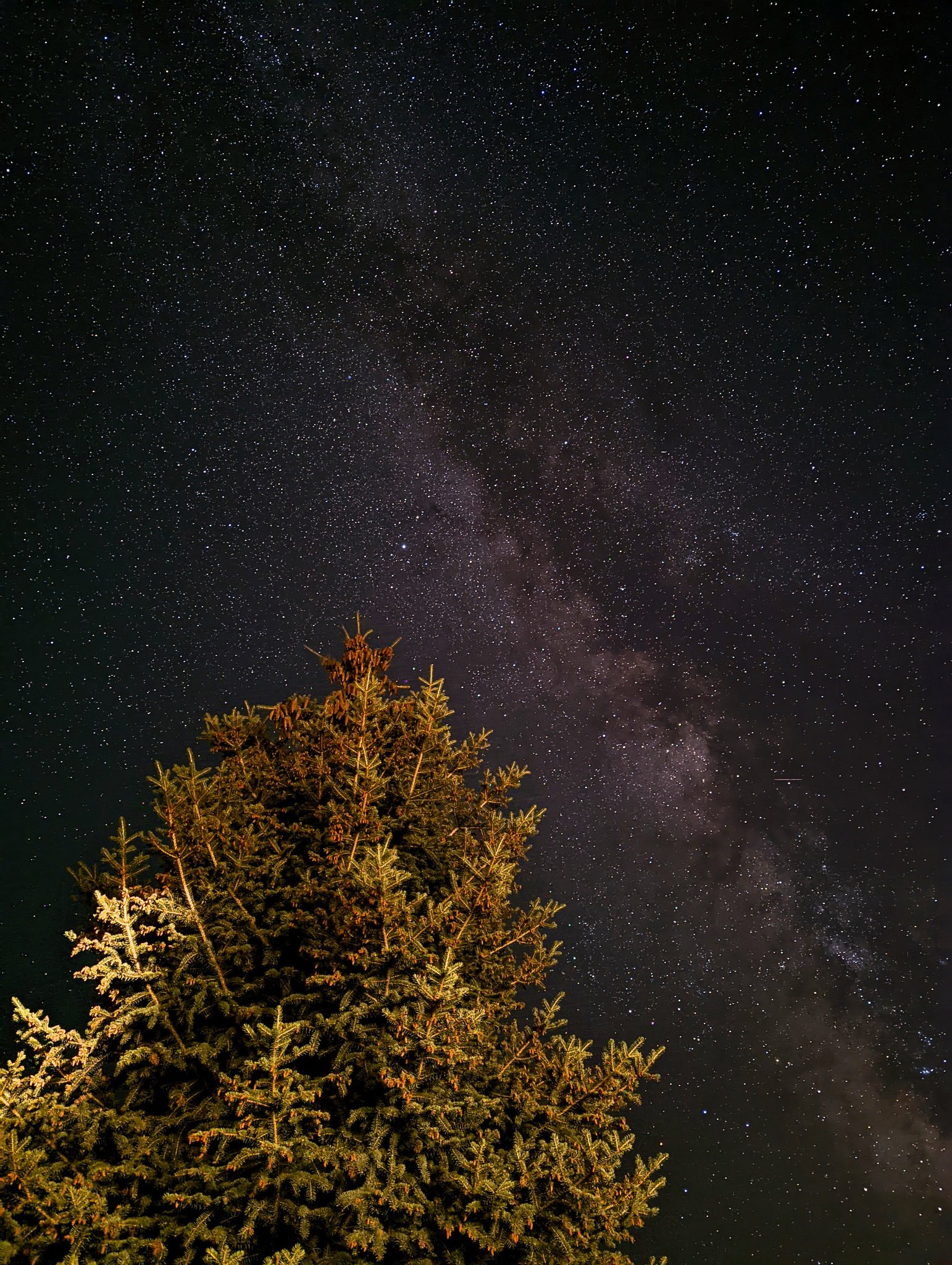 skyler-v-on-twitter-hasanthehun-fuslie-get-to-darker-skies-and-you