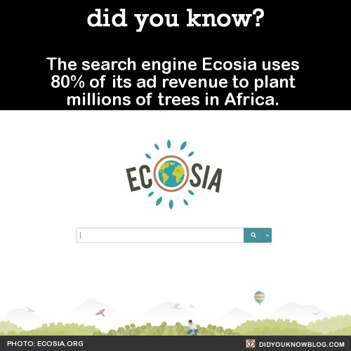 Hello #climate_warrior, instead of using Google, use Ecosia! it is also a search engine similar with google but the difference is for every 45 searches, they will plant a tree. 
🌲🌳🌴🌱

#Ecosia 
#Let_the_earth_breathe