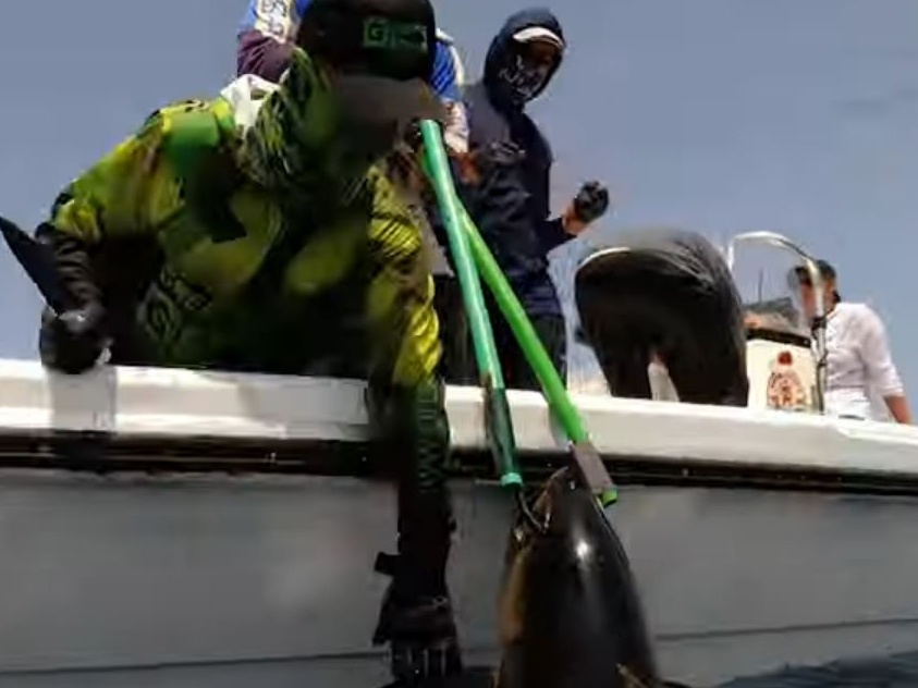 AtunaNews's tweet photo. Omani small-scale fishers improved the quality of their yellowfin catch via a jointly pilot project by Seafood Souq and IPNLF using its FIT toolkit...https://t.co/VLWvsCzXgm #Oman @IPNLF  @SeafoodSouq https://t.co/7grPjJMzrm
