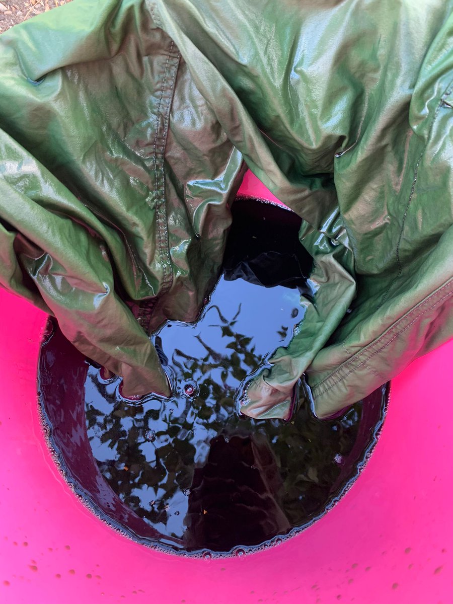 A Midsummer Skate Dream tweet media