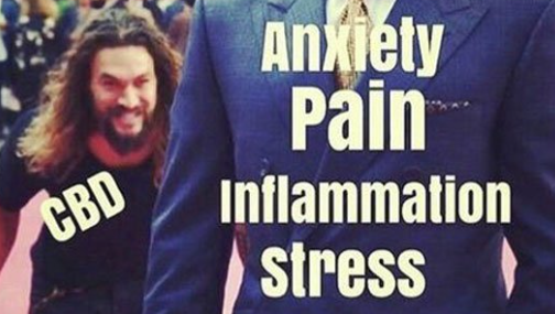 LUFFBrands's tweet photo. When the CBD starts to creep up on you

#CBD #CBDbenefits #health #wellness #anxiety #stress #pain #heathandwellness #cbdoil #luffbrands #luffcbd https://t.co/aT53ydQpI5