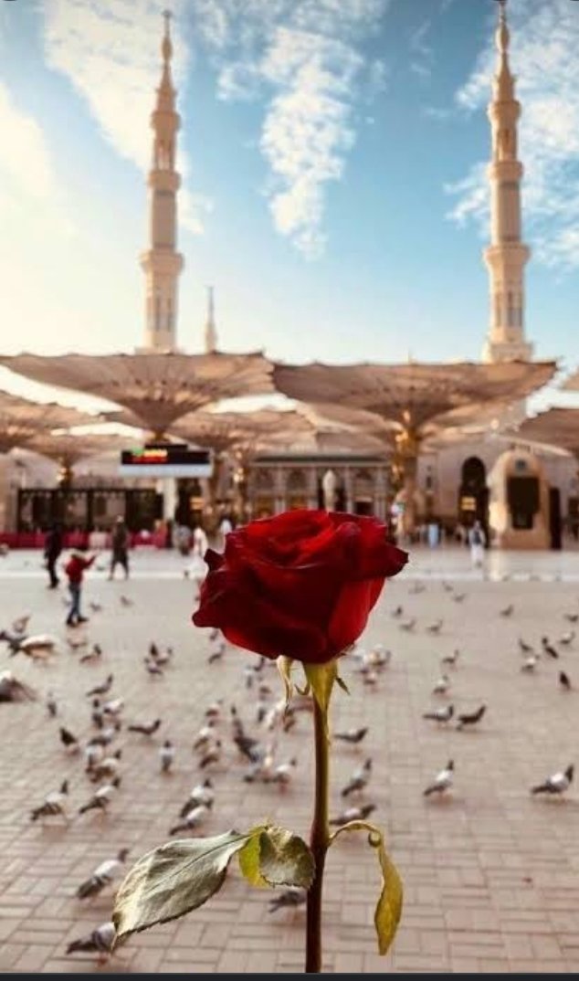 "Yorulduk ama yol güzel ELHAMDÜLİLLAH"