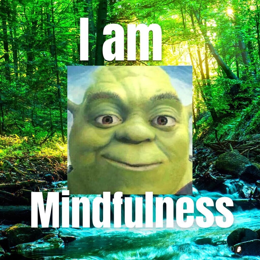 Our Lord grants us Peace of mind and Mindfulness🌲🌲🌈🌈Harmony of Soul  comes from Within🙏🙏🙏 #reallyfunny #lmfaomemes #dailymemepage  #memersdelight #newmemesdaily #reallyfunnymemes #shrekislove #laughmemes  #memestuff #dopememe #itsjustameme ..., image size:1024x1024