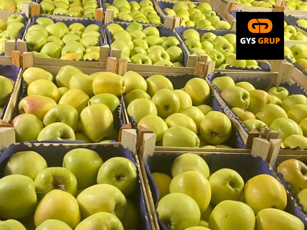 gys_grup's tweet photo. Seguimos creciendo en productos MANZANA 🍏🍎
Quieres mas info 👇
➡️ lourdes@gysgrup.com
➡️ https://t.co/wy3rUyPVCD

#manzana #ventaalconsumidor #ventaalpormayor #fruta #fruits #verdurayfrutas #alimentacion #online #todofruta #ventas #vegetables #fruits #sales #frutadetemporada https://t.co/kWTV31yaQp