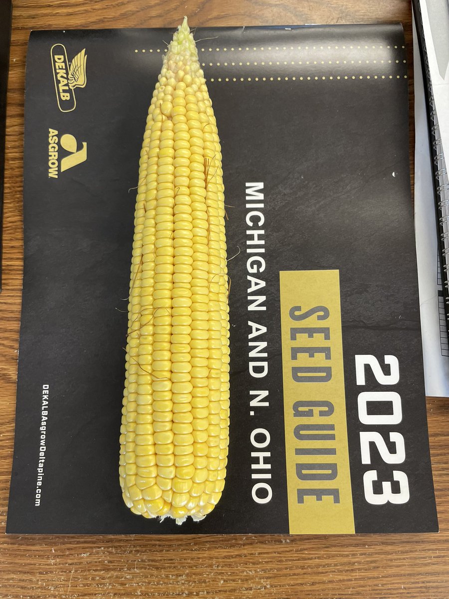 JaredburkHJ71's tweet photo. DKC62-69 RIB Ears are the length of the seed guide! 16x45 pushing to maximize kernel size and depth now! @Asgrow_DEKALB  @bw_fusion  @redoxgrows @Agronomy365 https://t.co/ovJLDw1bg6