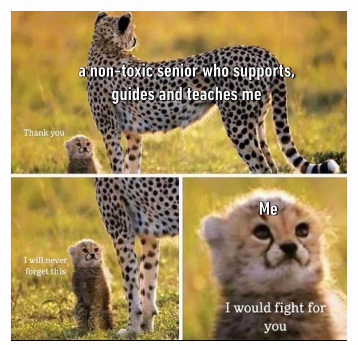 ExcelHumor's tweet photo. https://t.co/h3GNQ2SvxS