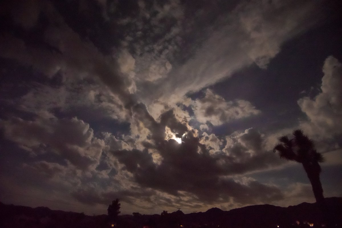 CalebGarrett6's tweet photo. Guys and skies https://t.co/zispyHs3A5