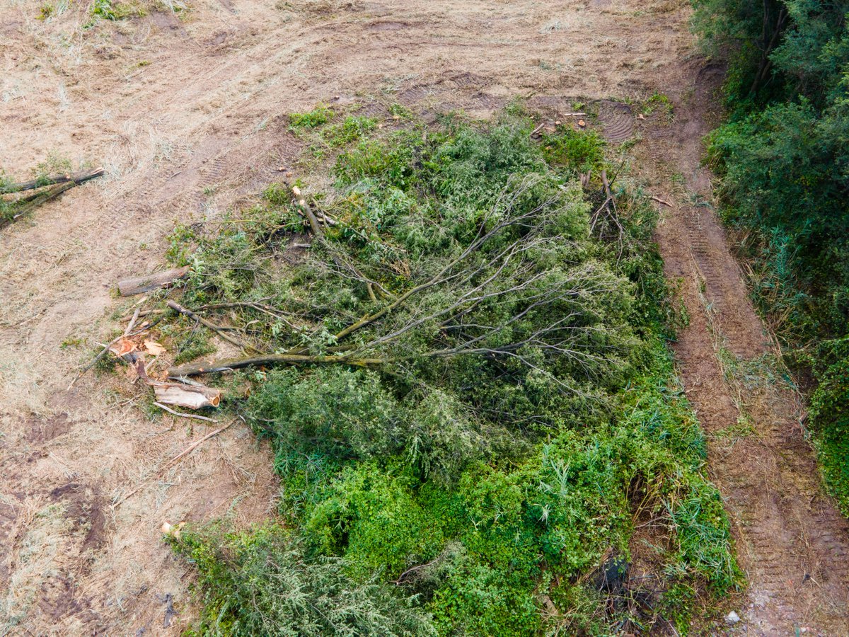 gridphilly's tweet photo. Aerial photography from Chris Baker Evens showing a birds eye view of the devastation that occurred during this mornings clearcutting at FDR Meadows.
#SaveTheMeadowsFDR
Our thanks to Chris for capturing these images.
For more of his photography visit: https://t.co/LxE9hHwmFK https://t.co/2dFOBiKgtN