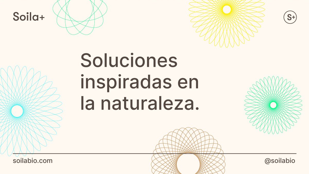 Diseñamos y producimos inóculos naturales 100% orgánicos para tratar y valorizar los residuos de la agroindustria y residuos orgánicos urbanos, convirtiéndolos en biofertilizantes.