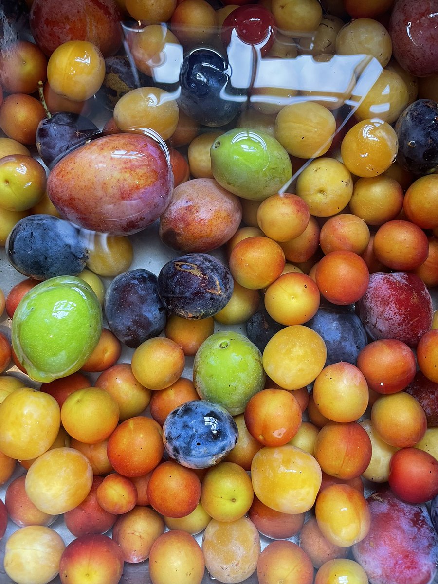 ValeHouseKitchen tweet media