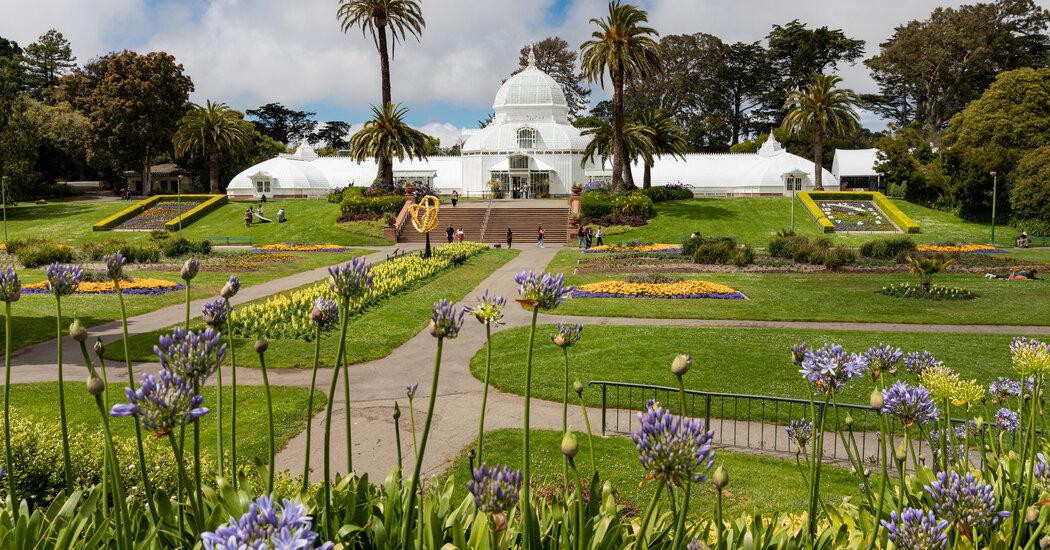 nytimes's tweet photo. The news headlines from San Francisco have seemed negative lately, but it's still San Francisco. The city’s neighborhoods are vibrant with packed restaurants and bars, and many are home to new parks and the return of in-person events.