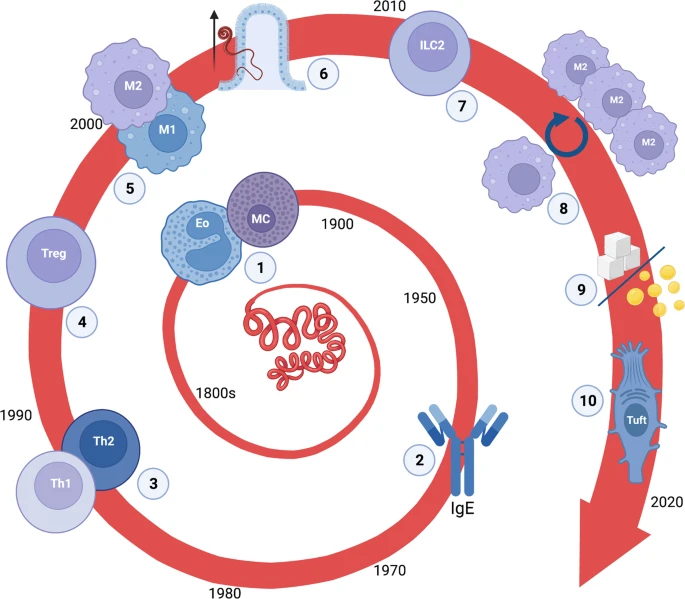 @PeronaLab and @HenryMcSorley discuss the lessons #helminths teach us about #MusocalImmunology
nature.com/articles/s4138… PS - Check back soon for MORE on helminths!