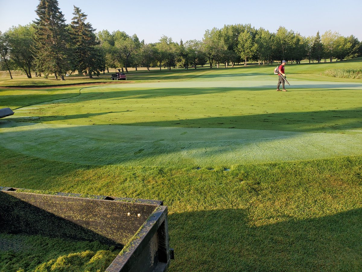 Verticut fun this morning ....went really well.