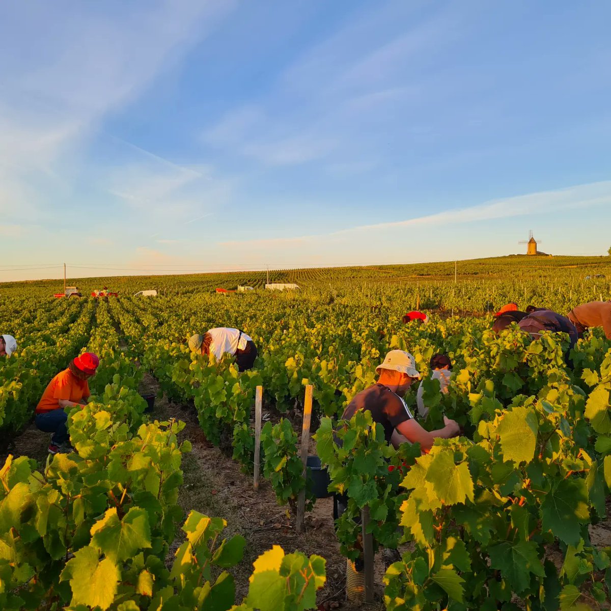 Nathalie CHUZEVILLE tweet media