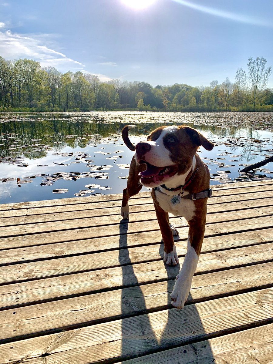 Madison Wait tweet media