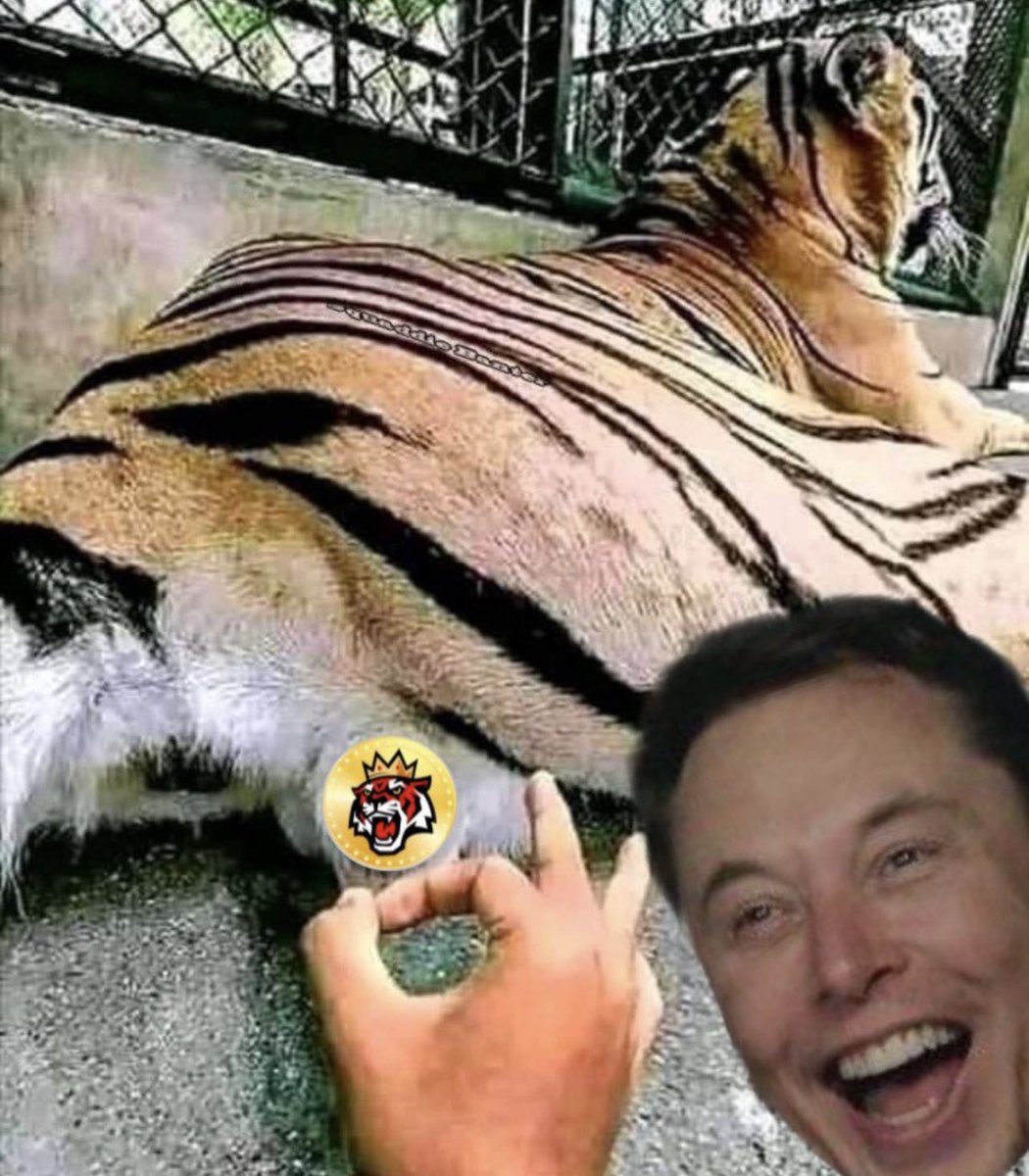 No #memecoin community can match the passion and dedication of @Tiger_King_Coin. Build in the Bear and Boom in the Bull. Big things are coming. It’s only a matter of time what are you waiting for @elonmusk ? Let’s #SavetheTigers #TKING2aPenny 