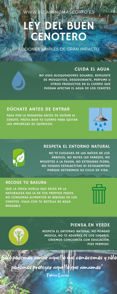 Caminomascorto's tweet photo. Ley del buen cenotero 🤟
#cenotesmexico #cenotes #cenoteando https://t.co/SwRn7HI714