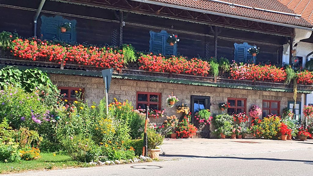 Sarah Hudson 🇬🇧 🌈 🇩🇪 tweet media