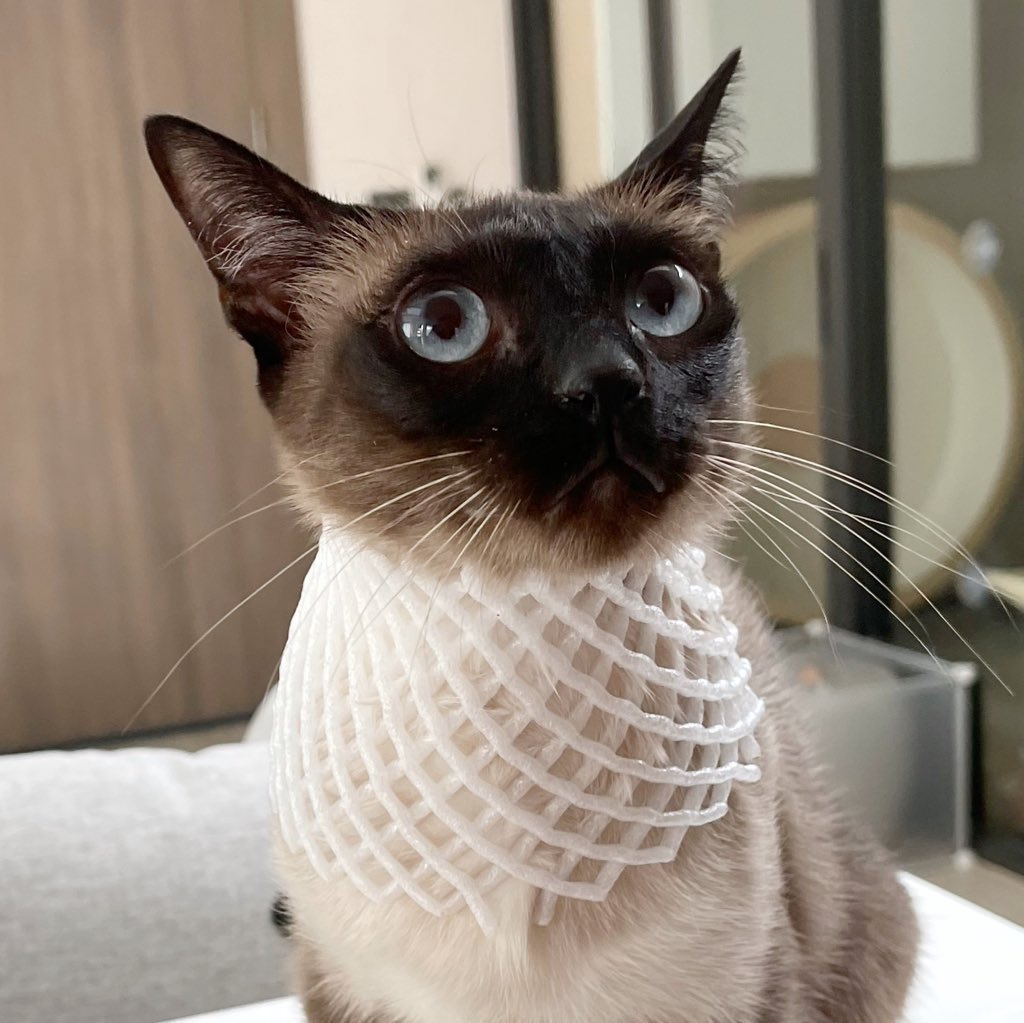 ใครสาปนาง