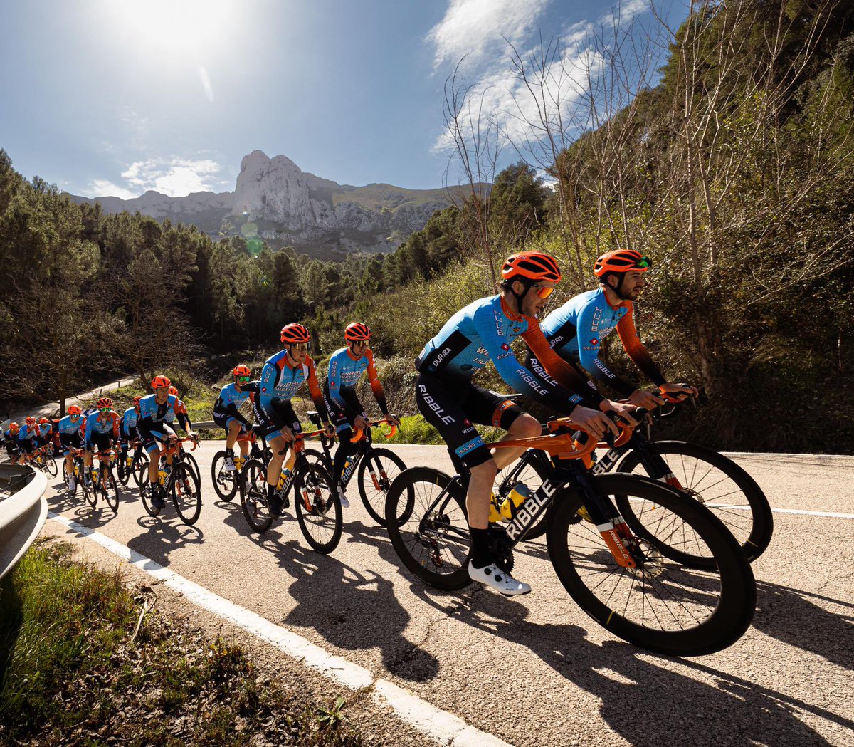 Champion Cycling Services tweet media