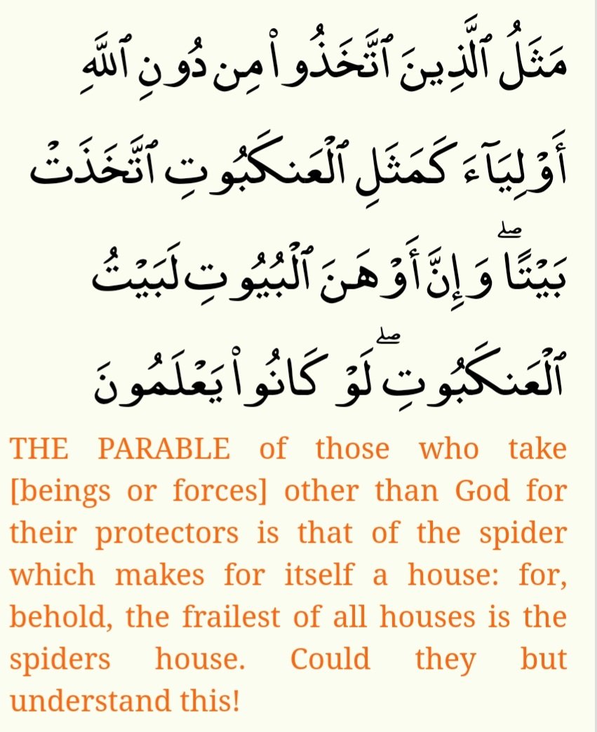 HendricksSumaya's tweet photo. Love that there's a surah in the Quran called Ankabut (spider)- verse below is from this. The Almighty uses the best of parables to draw us closer to the Divine & reminds us that we can learn from the smallest of creatures
๐๐ฝEnglish translation by Muhammad Asad #Verse41 #Surah29 https://t.co/5byb91PWrK