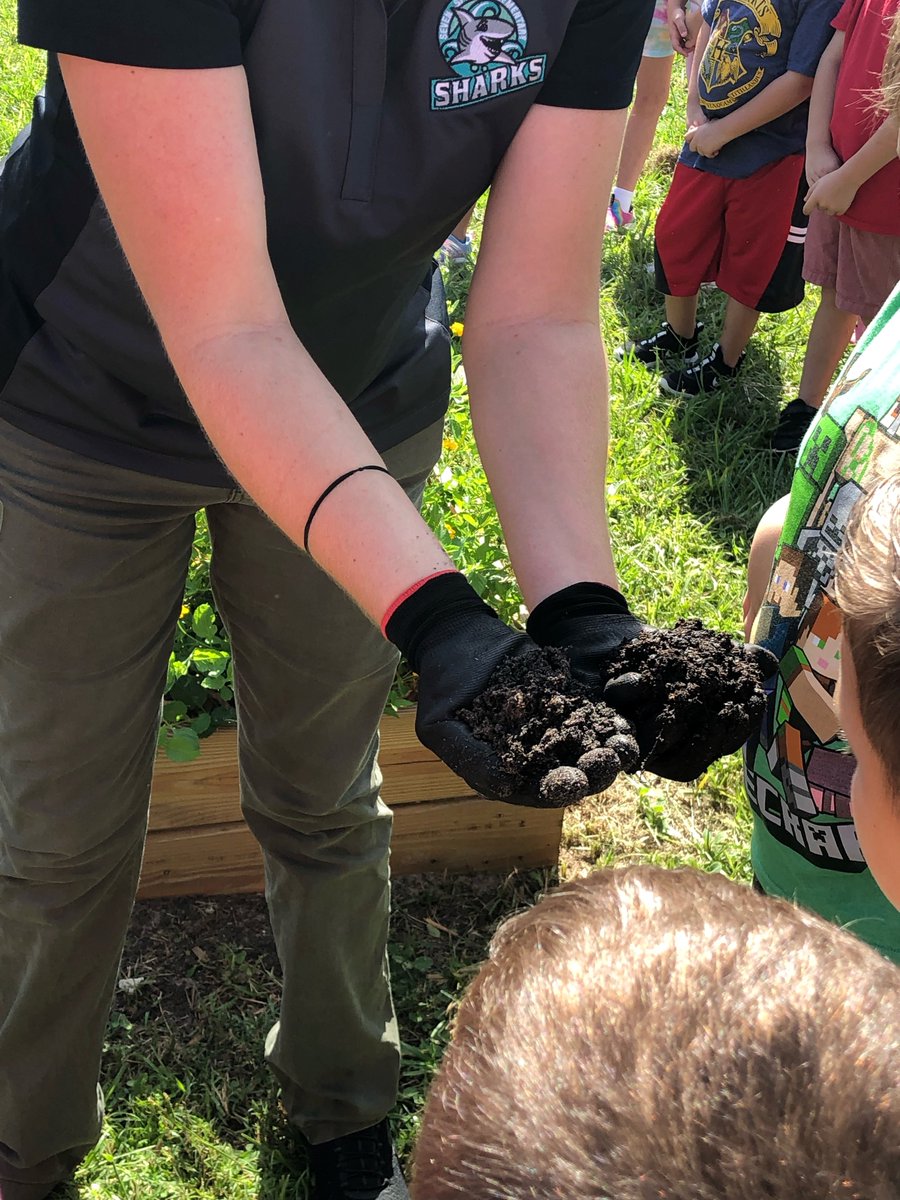 SSES_Sharks's tweet photo. Who likes worms🪱.  Angel Sharks are learning about agriculture and how important worms are our plants.  #AllForOne https://t.co/F99f9kiVhs