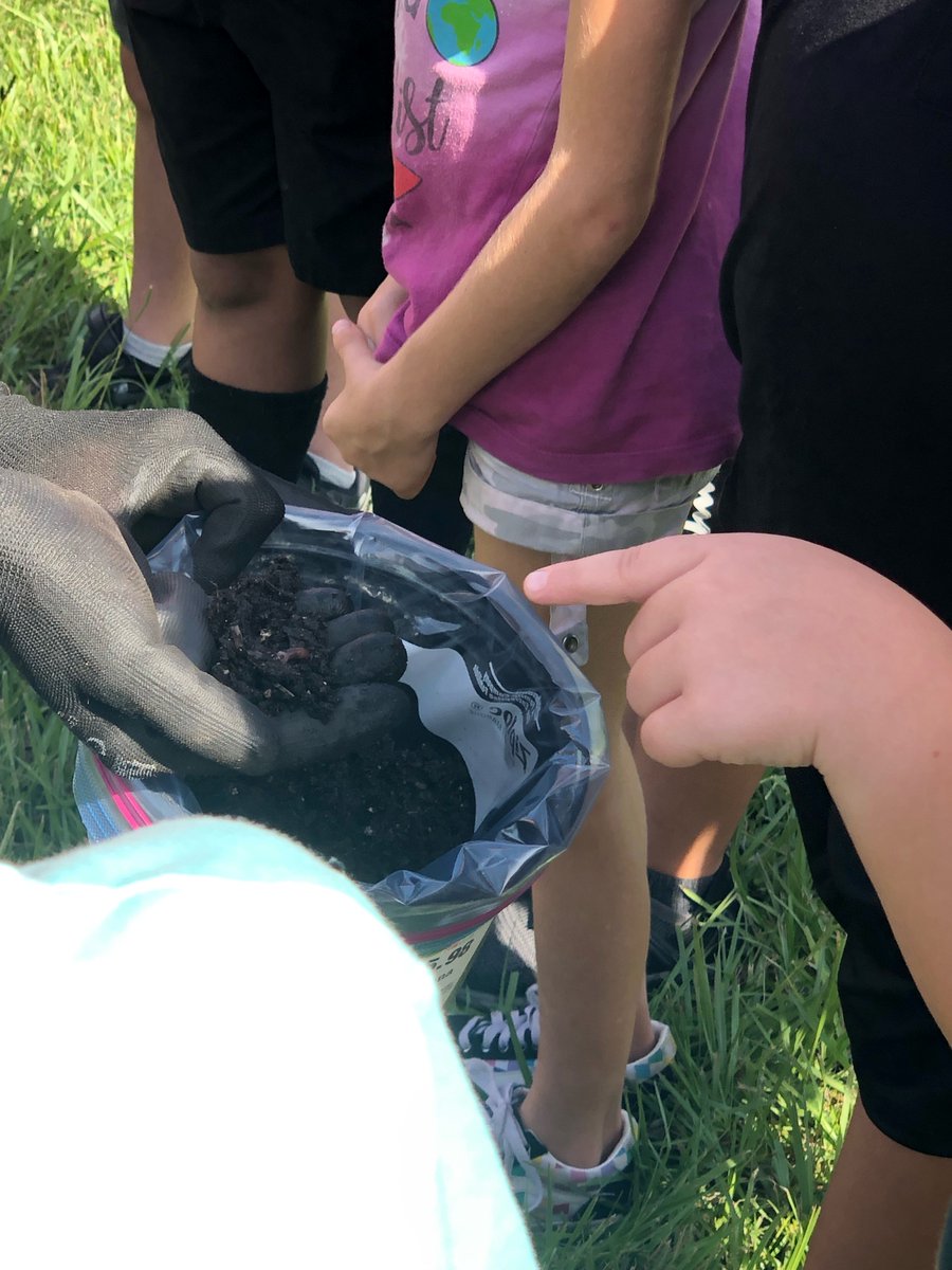 Who likes worms🪱.  Angel Sharks are learning about agriculture and how important worms are our plants.  #AllForOne