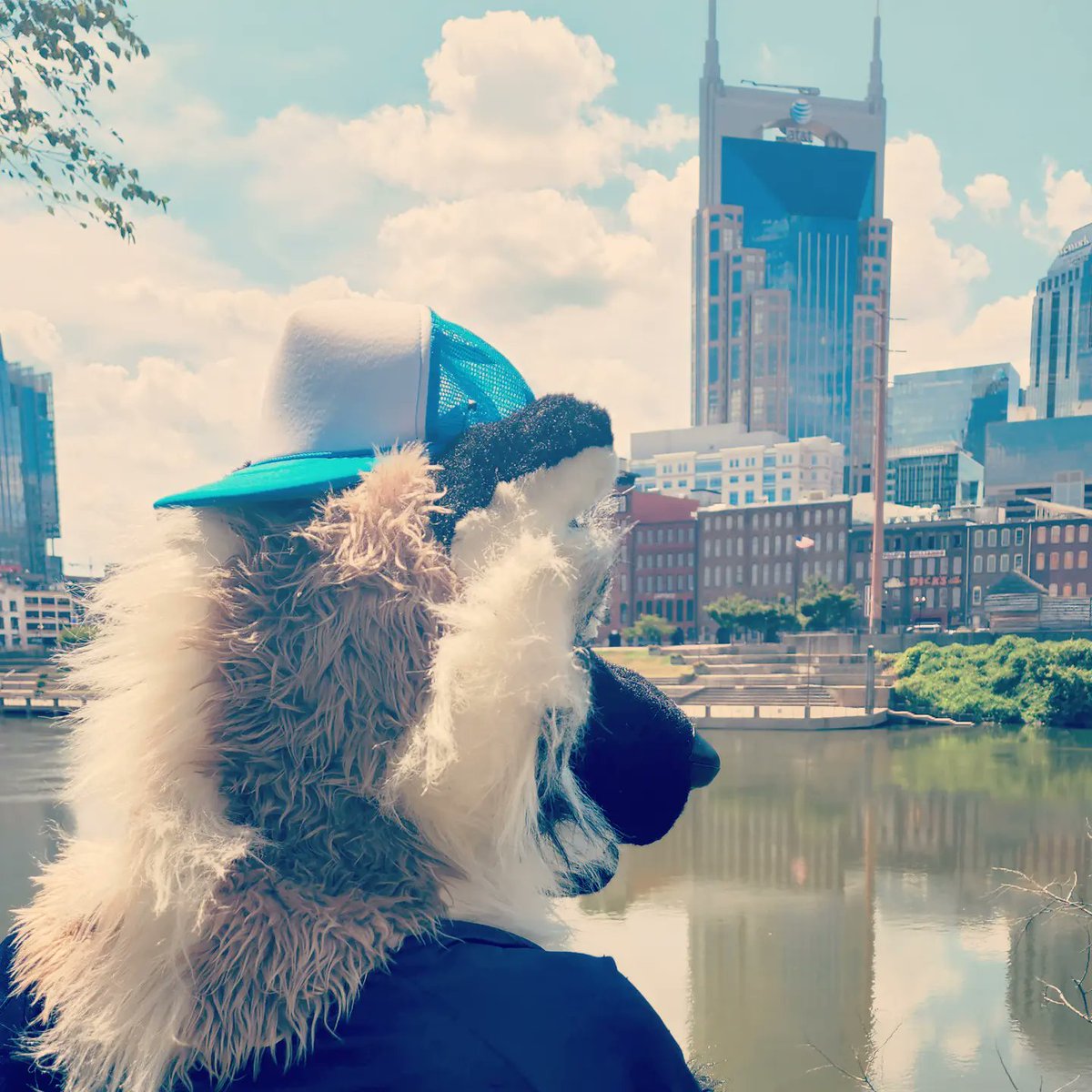 RadTalkinRex's tweet photo. Vibin' out in the Music City!

#tennessee #nashville #musiccity #downtown #river #riverside #riverfrontpark #furryfandom #fursona #furry #fursuiter #fursuit #takingintheviews https://t.co/Lolf6bkHUE