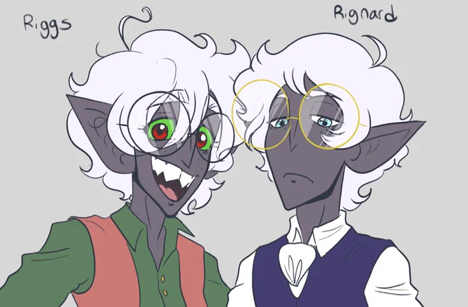 Same character, different campaing #dnd #drow 